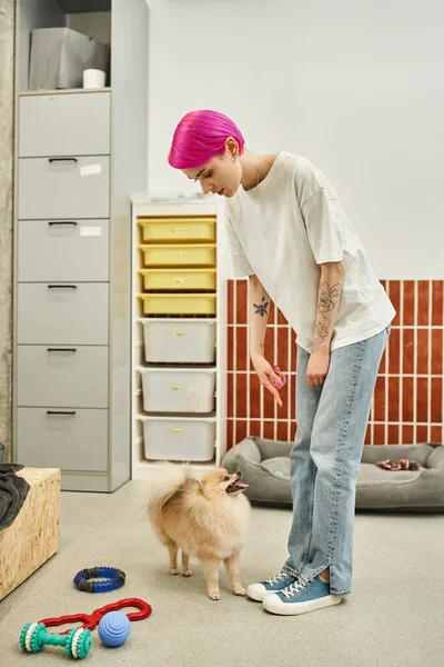 Entrenador de perros señalando con el dedo durante la clase de obediencia con spitz pomeraniano juguetón en hotel de mascotas - foto de stock