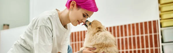 Side view of loveable pomeranian spitz liking nose of pleased pet hotel worker, horizontal banner — Stock Photo