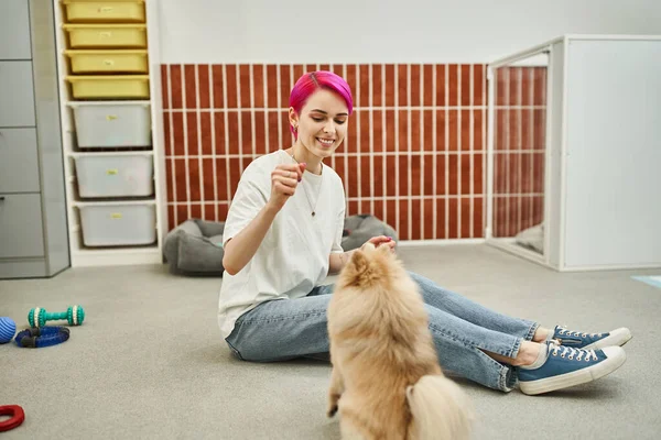 Smiley-Hundepfleger trainiert Pommernspitz im Sitzen am Boden und hält Leckerli in der Hand — Stockfoto