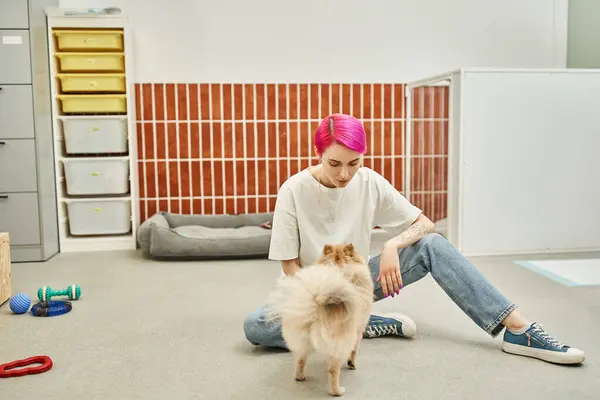 Obedience session, stylish female pet sitter sitting on floor near pomeranian spitz in dog hotel — Stock Photo