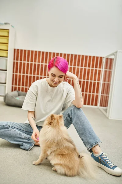 Happy woman with purple hair sitting on floor near pomeranian spitz in pet hotel, loving dog sitter — Stock Photo