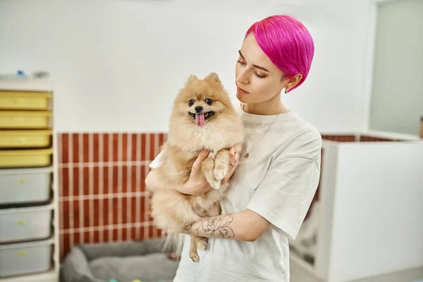 Loving purple-haired pet hotel worker holding adorable pomeranian spitz, care and affection — Stock Photo