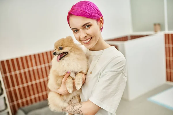 Smiling female pet sitter with purple hair holding pomeranian spitz in pet hotel, care and bonding — Stock Photo