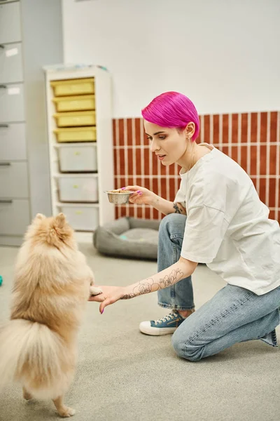 Stylish tattooed dog sitter with bowl of dog food near playful pomeranian spitz, feeding time — Stock Photo