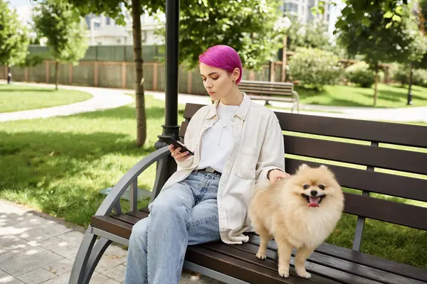 Фиолетовая женщина, работающая на смартфоне, отдыхая на скамейке в парке рядом с милым поморским шпицем — стоковое фото