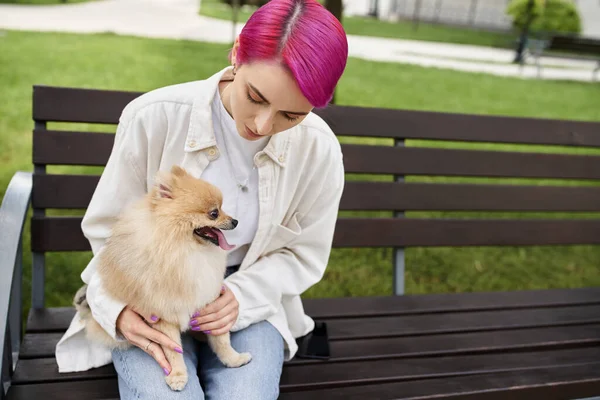 Mujer con peinado de moda sentado en el banco en el parque con adorable spitz pomeraniano, amante del perro - foto de stock