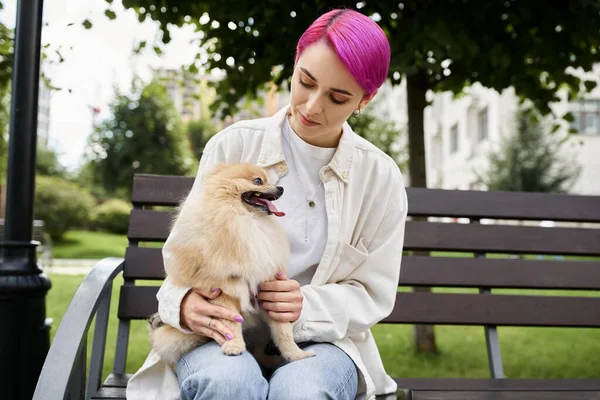 Park scene of purple-haired woman with pomeranian spitz relaxing on bench in park, outdoor leisure — Stock Photo