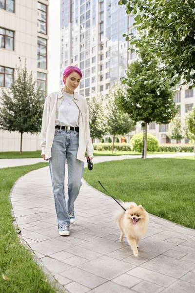 Volle Länge von lila-haarige stilvolle Frau, die mit Pommernspitz an der automatischen Leine geht — Stockfoto