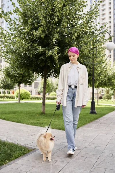 Full length of stylish purple-haired woman walking with pomeranian spitz on automated leash — Stock Photo