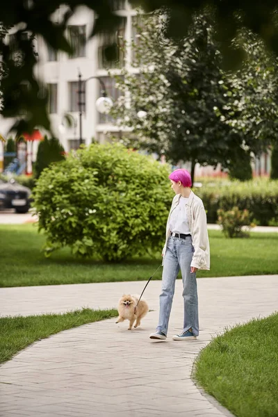 Stilvolle lila-haarige Frau spaziert mit Pommernspitz an der Leine auf grüner Stadtstraße — Stockfoto