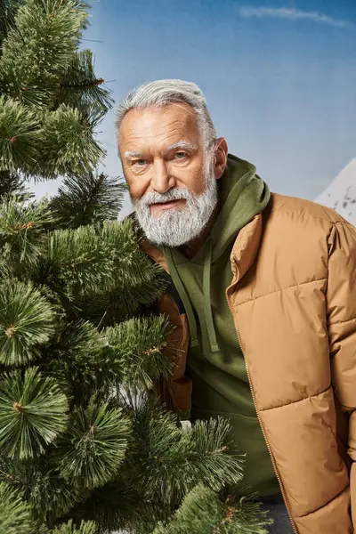 Спортивний Санта з білою бородою, що стоїть біля соснового дерева і дивиться на камеру, зимова концепція — стокове фото