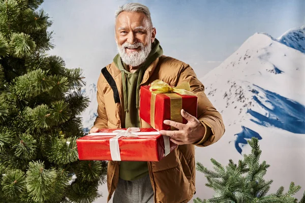 Щаслива Санта в теплій куртці тримає подарунки біля соснового дерева з гірським тлом, зимова концепція — стокове фото