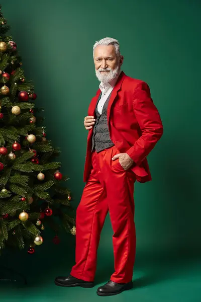 Стильний Санта в червоному костюмі з білою бородою позує біля ялинки з рукою в кишені, зимова концепція — стокове фото
