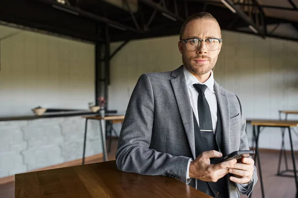Schöner Profi mit Brille im grauen schicken Anzug, Handy in der Hand und Blick in die Kamera — Stockfoto