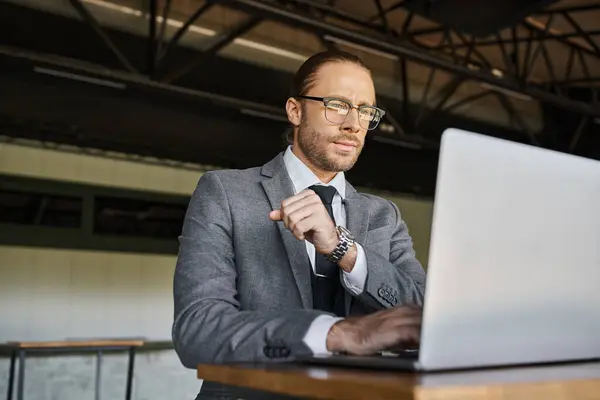 Appealing refined man in gray smart suit with glasses and tie working on laptop, business concept — Stock Photo