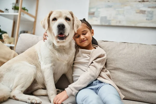 Happy girl sitting on comfortable couch with cute labrador in modern living room, animal companion — Stock Photo