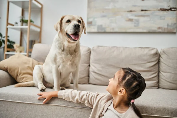 Glückliches Mädchen lächelt und sitzt neben Sofa mit niedlichem Labrador im modernen Wohnzimmer, tierischer Begleiter — Stockfoto
