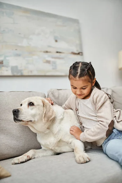 Joyful girl sitting on sofa and cuddling cute labrador in modern living room, animal companion — Stock Photo