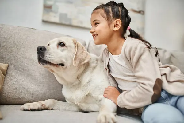 Happy girl sitting on sofa and cuddling cute labrador in modern living room, animal companion — Stock Photo