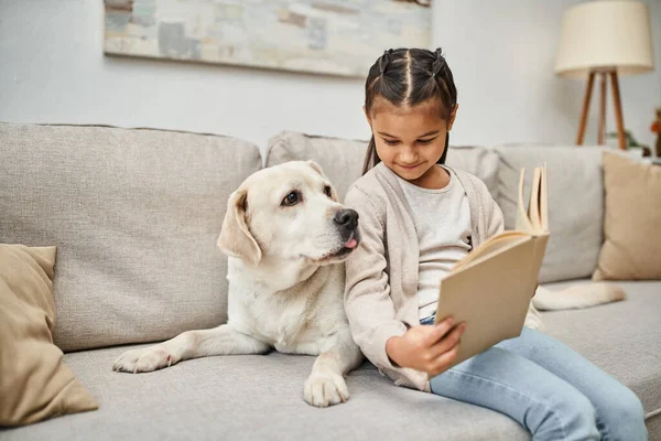 Chica feliz sentado en el sofá y libro de lectura cerca de labrador en la sala de estar moderna, compañero de animales - foto de stock