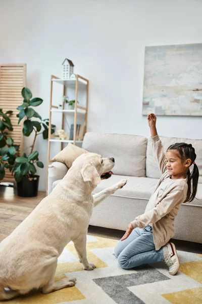 Mädchen im Grundalter lächelt und spielt mit Labrador im modernen Wohnzimmer, Kind verwöhnt Hund — Stockfoto
