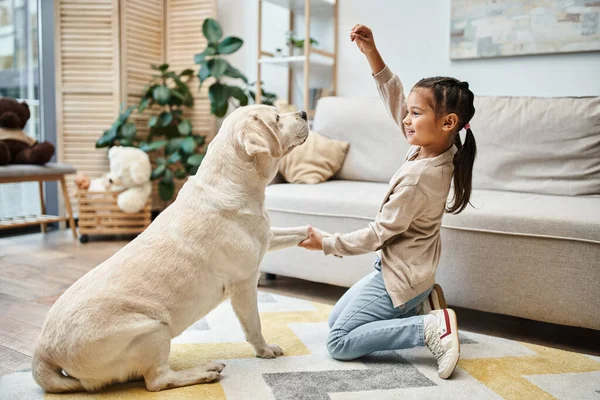 Menina idade elementar sorrindo e brincando com labrador na sala de estar moderna, criança dando deleite ao cão — Fotografia de Stock