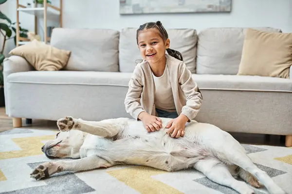 Happy cute girl in casual attire smiling and stroking dog in modern living room, kid and labrador — Stock Photo