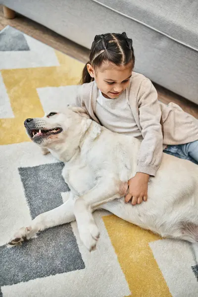 Chica positiva en traje casual sonriendo y acariciando perro en la sala de estar moderna, niño y labrador - foto de stock