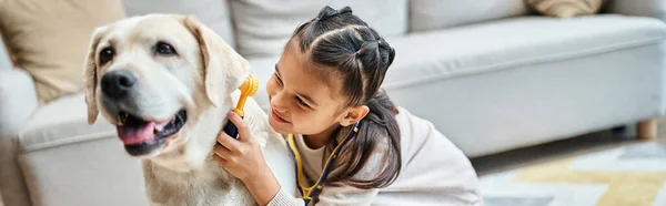 Kleines Mädchen in Freizeitkleidung spielt Arzt mit Labrador im modernen Wohnzimmer, Spielzeug-Verbandskasten — Stockfoto