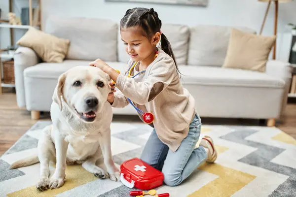 Little cute girl in casual attire playing doctor with labrador in modern living room, stethoscope — Stock Photo