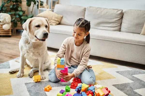 Fille souriante jouant avec des blocs de jouets colorés près du labrador dans le salon, jeu de tour de construction — Photo de stock