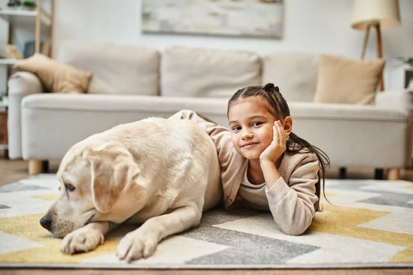 Adorable elementary age girl in casual attire lying on carpet with labrador in modern living room — Stock Photo