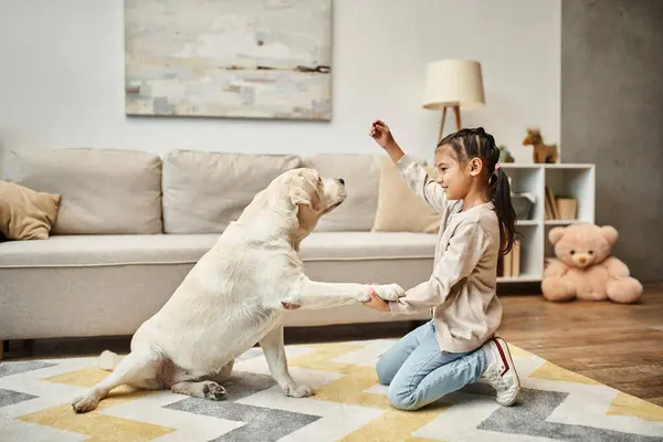 Ragazza carina in abbigliamento casual giocare con labrador e dare trattare in soggiorno, cane da allenamento per bambini — Foto stock