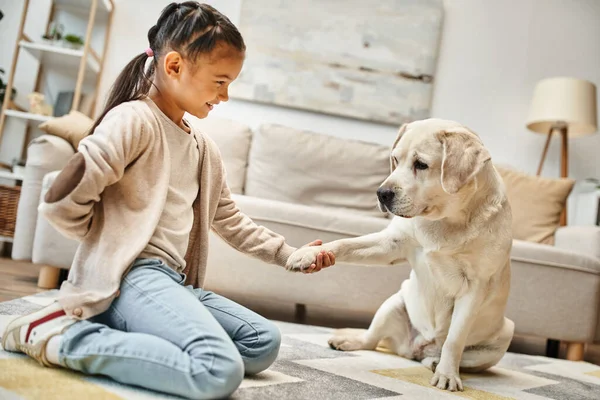 Bonito labrador dando pata para a menina idade elementar em desgaste casual na sala de estar moderna, criança e cão — Fotografia de Stock