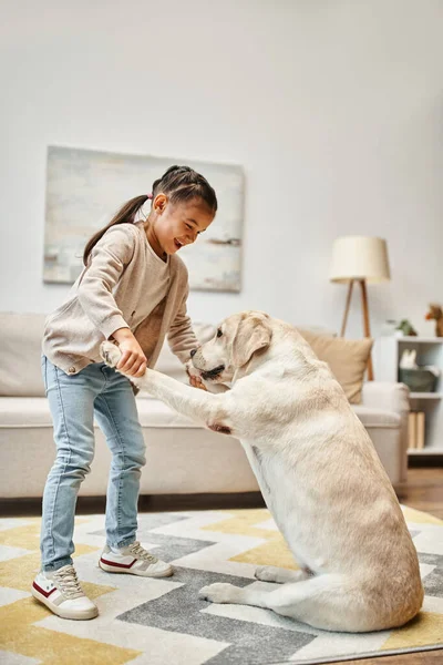 Happy girl in casual wear training labrador in modern living room, dig giving paws to child — Stock Photo