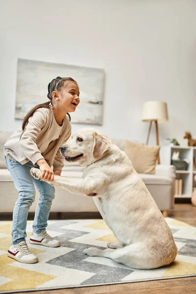 Fille gaie en tenue décontractée labrador creuser et rire dans le salon moderne, moment heureux — Photo de stock