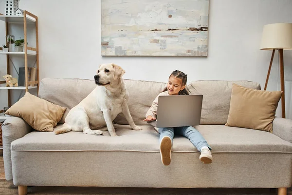 Nettes Mädchen im Grundschulalter sitzt auf dem Sofa und benutzt Laptop in der Nähe von Labrador im modernen Wohnzimmer — Stockfoto