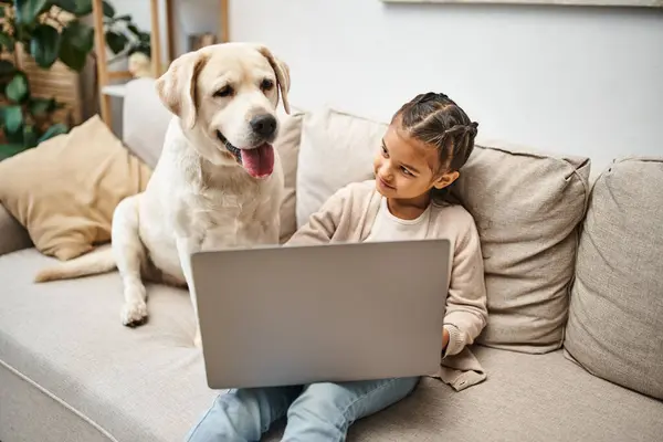 Entzückendes Mädchen im Grundalter sitzt auf dem Sofa und benutzt Laptop in der Nähe von Labrador im modernen Wohnzimmer — Stockfoto