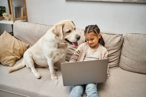 Cute little girl sitting on sofa and using laptop near labrador dog in modern living room — Stock Photo