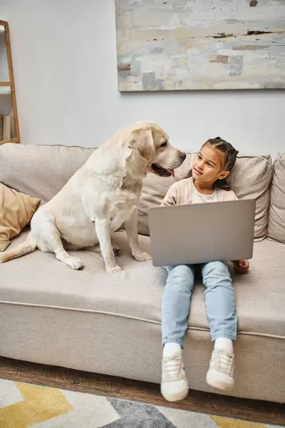 Cute elementary age child sitting on sofa and using laptop near labrador dog in modern living room — Stock Photo