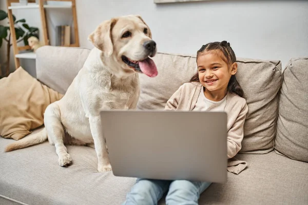 Glückliches Kind im Grundalter sitzt auf dem Sofa und benutzt Laptop neben Labrador-Hund im modernen Wohnzimmer — Stockfoto