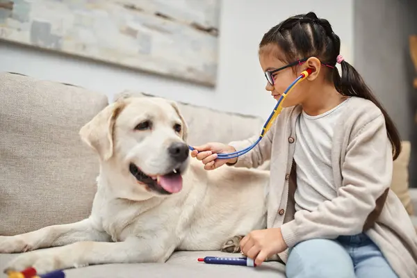 Happy girl in casual wear and eyeglasses playing doctor with labrador on sofa in modern living room — Stock Photo
