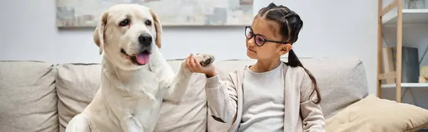 Happy elementary age girl in eyeglasses holding paw of labrador and sitting on sofa, banner — Stock Photo