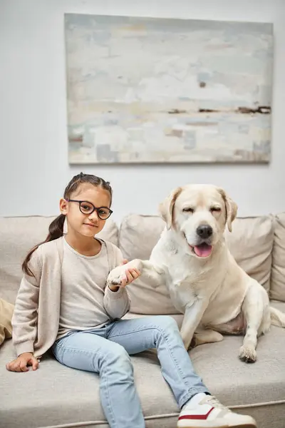 Happy elementary age girl in eyeglasses holding paw of labrador and sitting on sofa in living room — Stock Photo