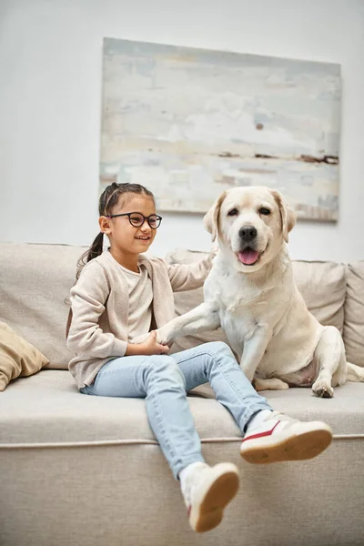 Happy elementary age girl in eyeglasses holding paw of labrador and sitting on sofa in living room — Stock Photo