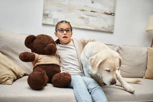 Scared girl in eyeglasses holding teddy bear and sitting on sofa with labrador while watching movie — Stock Photo