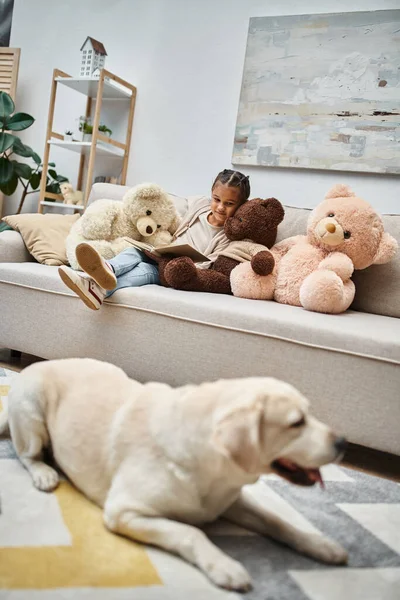 Adorável menina sentada no sofá com ursos de pelúcia macios e livro de leitura perto labrador no tapete — Fotografia de Stock