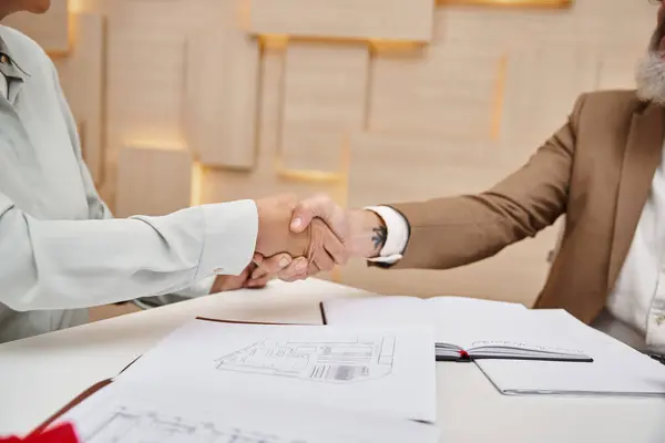 Cropped shot of woman shaking hands with middle aged realtor in real estate office, property sale — Stock Photo