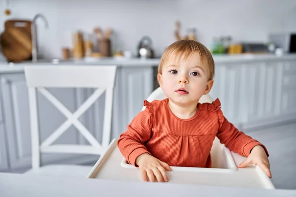 Encantadora niña en suéter naranja sentado en la silla alta en el desayuno y mirando a la cámara - foto de stock
