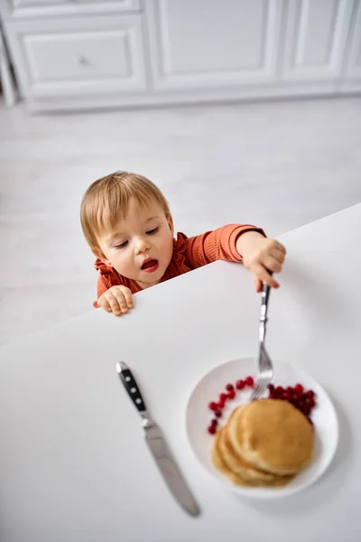 Adorable little baby girl in comfy orange sweater trying to reach out some breakfast on table — Stock Photo